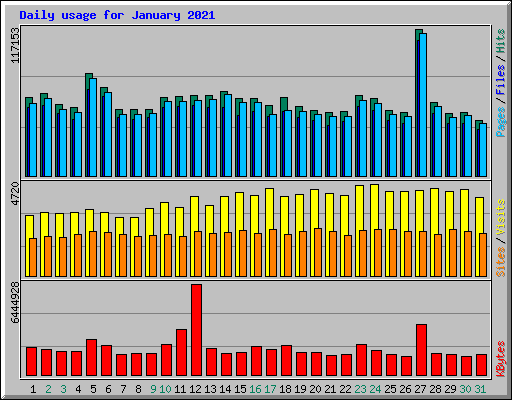 Daily usage for January 2021