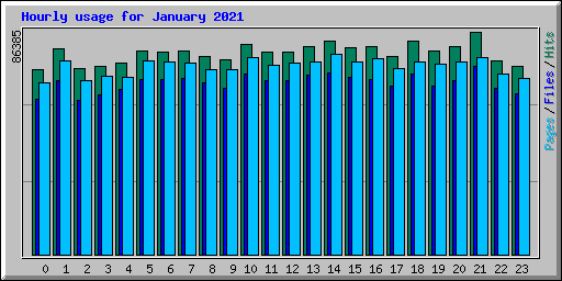 Hourly usage for January 2021